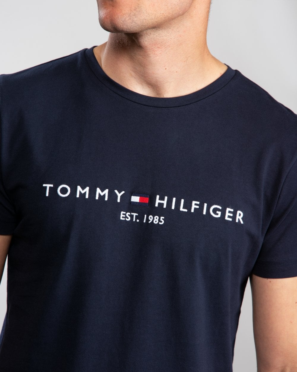 Tommy Hilfiger Mens Core Tommy Logo Tee - Sky Captain