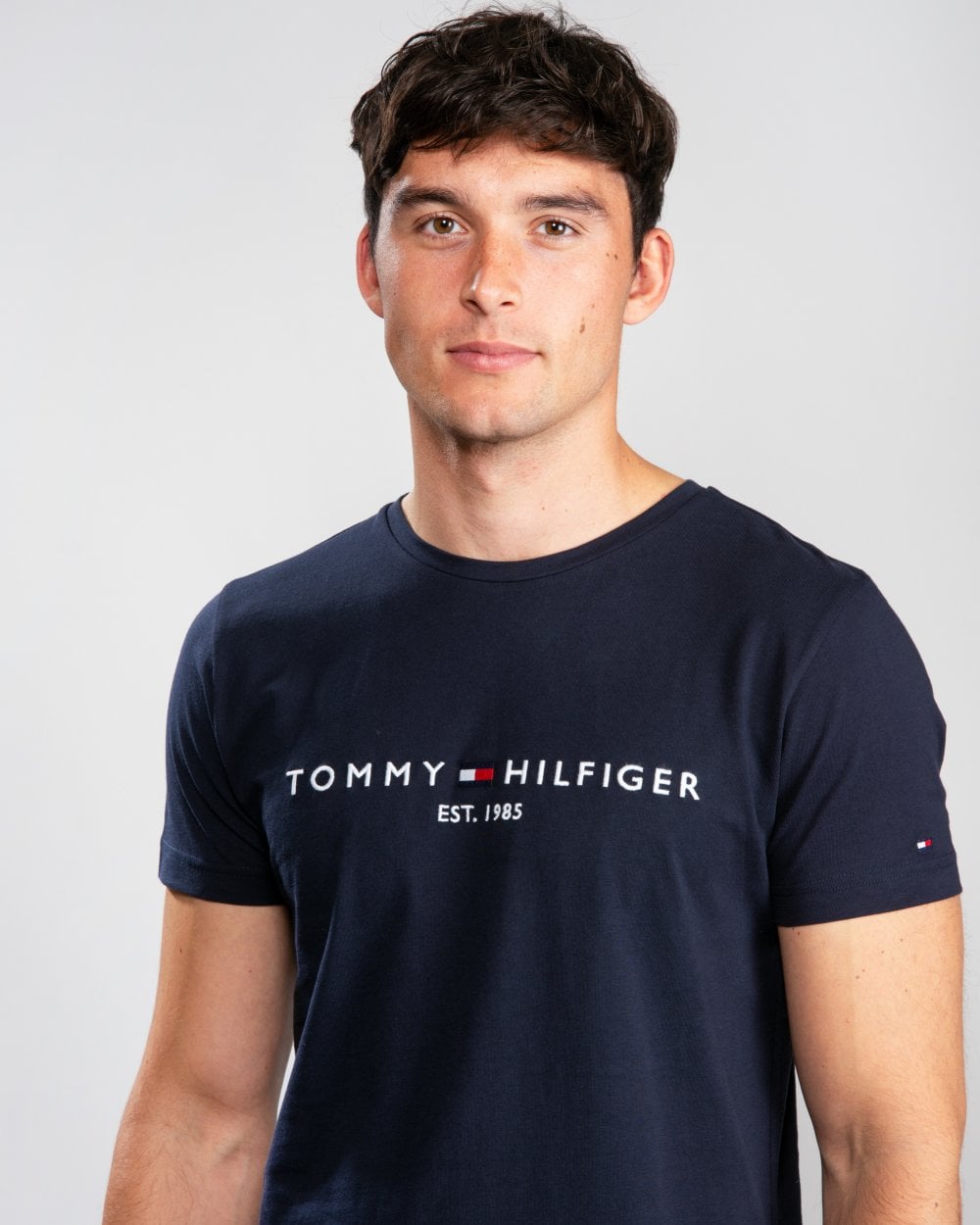 Tommy Hilfiger Mens Core Tommy Logo Tee - Sky Captain