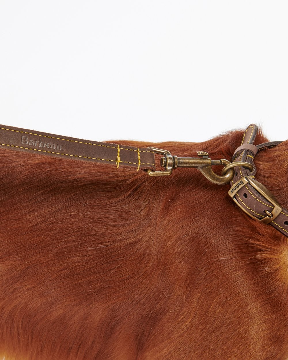 Barbour Leather Dog Lead DAC0004