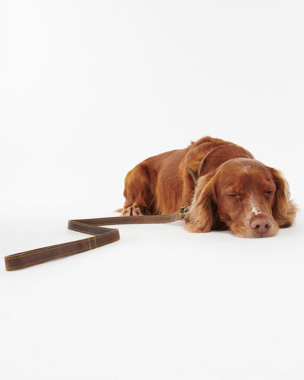 Barbour Leather Dog Lead DAC0004