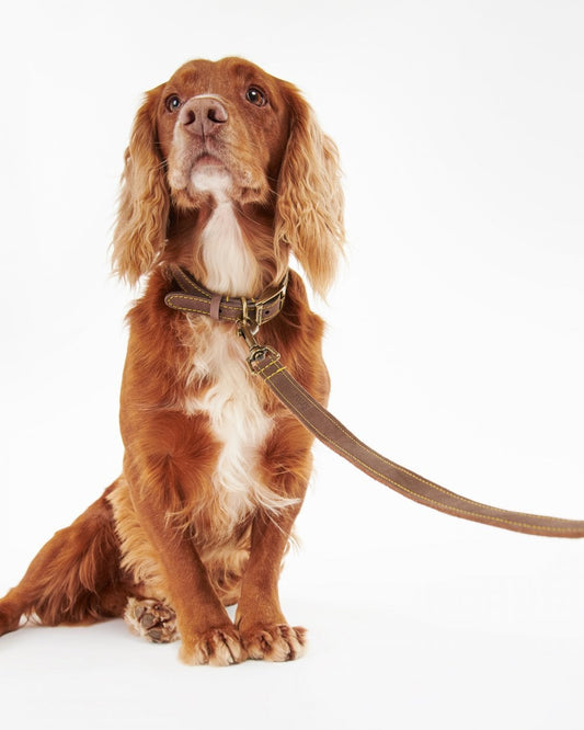 Barbour Leather Dog Lead DAC0004