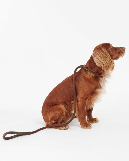 Barbour Tartan Trimmed Slip Lead