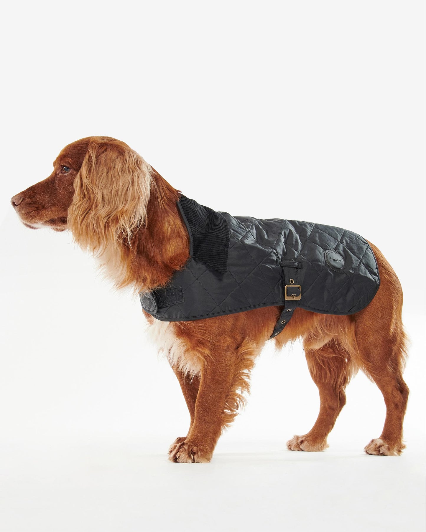 Barbour Quilted Dog Coat