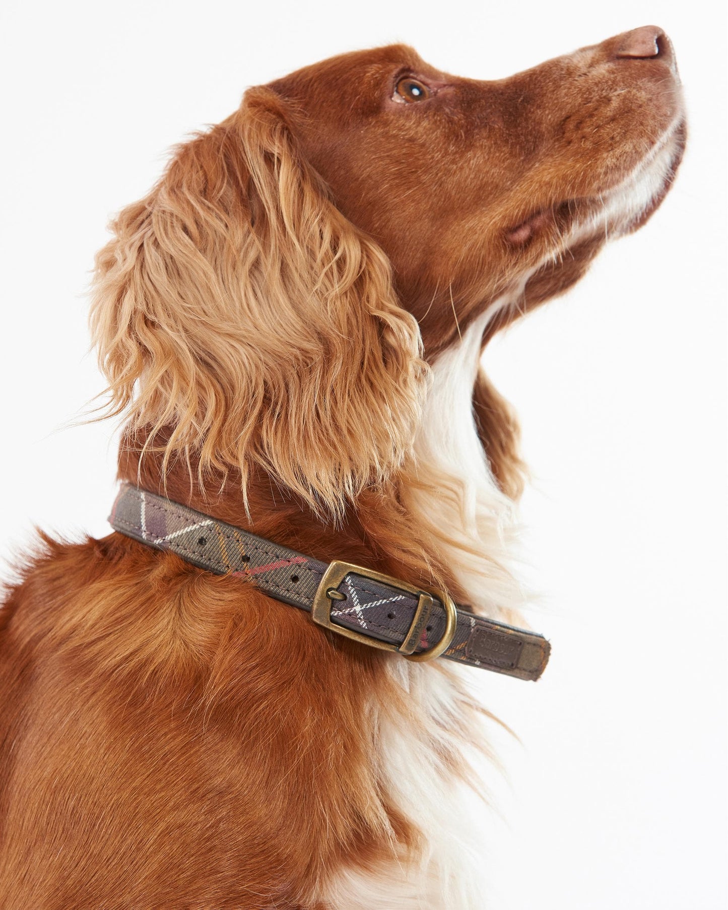Barbour Tartan Dog Collar