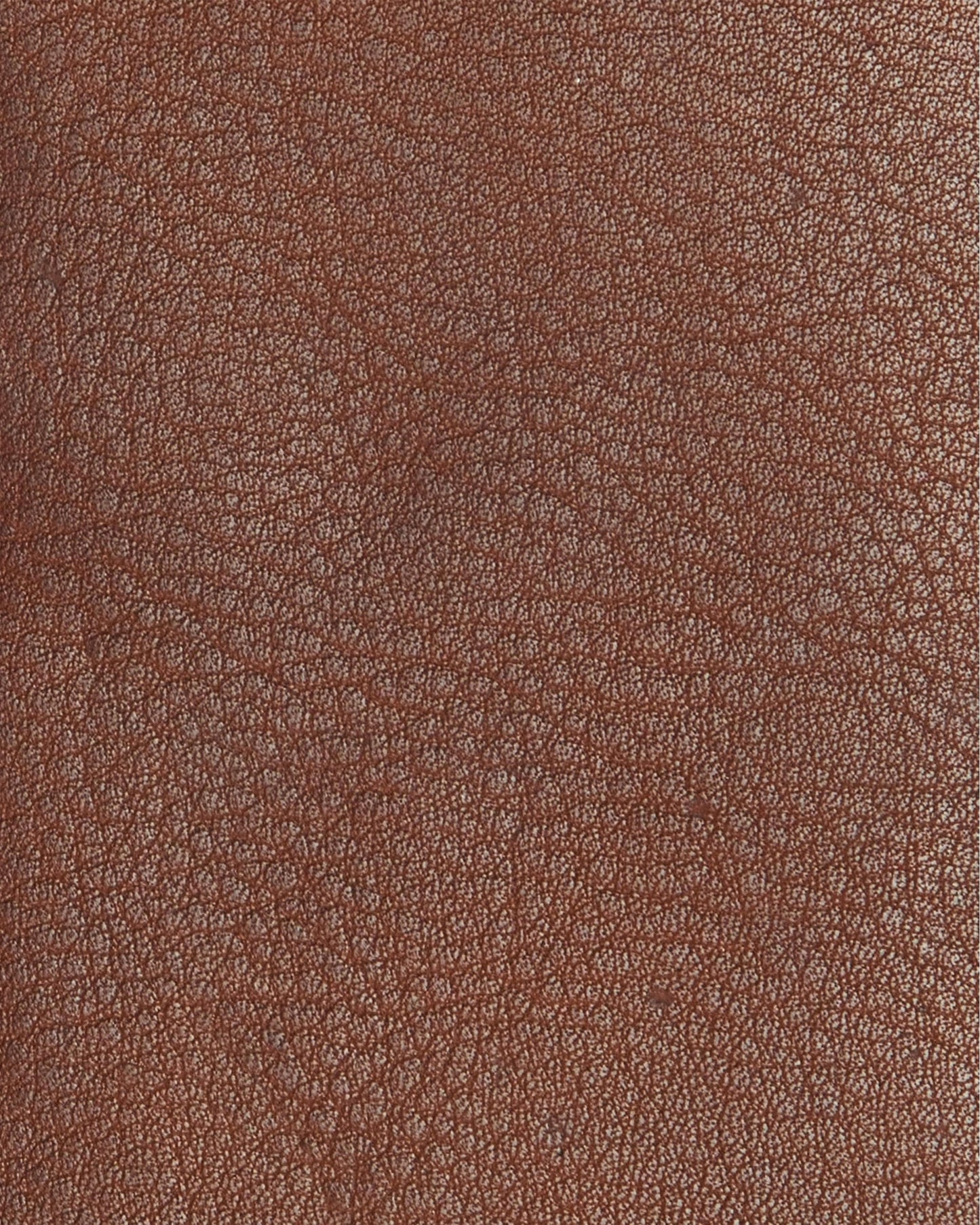 Barbour Laire Womens Leather Purse