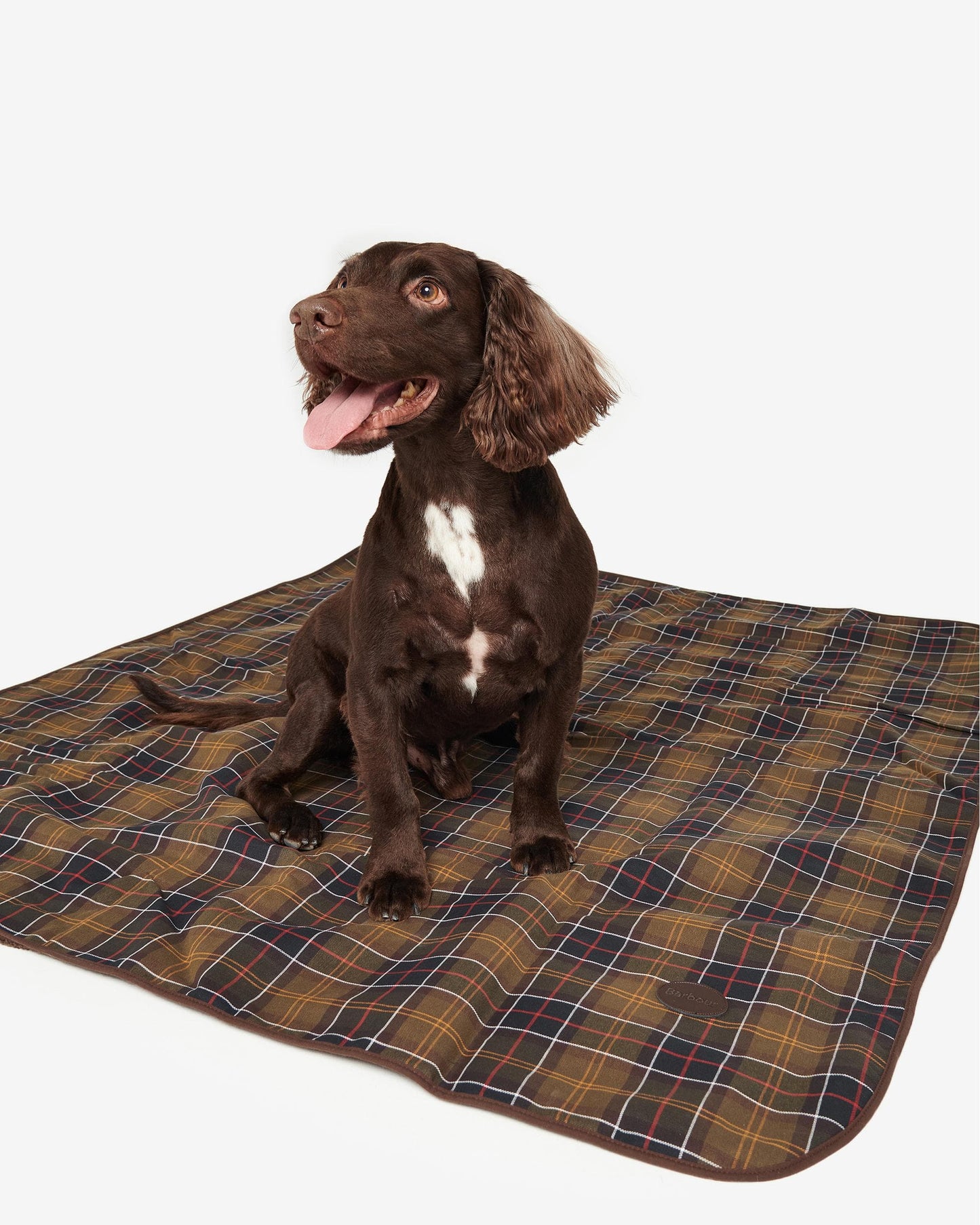 Barbour Large Dog Blanket DAC0023