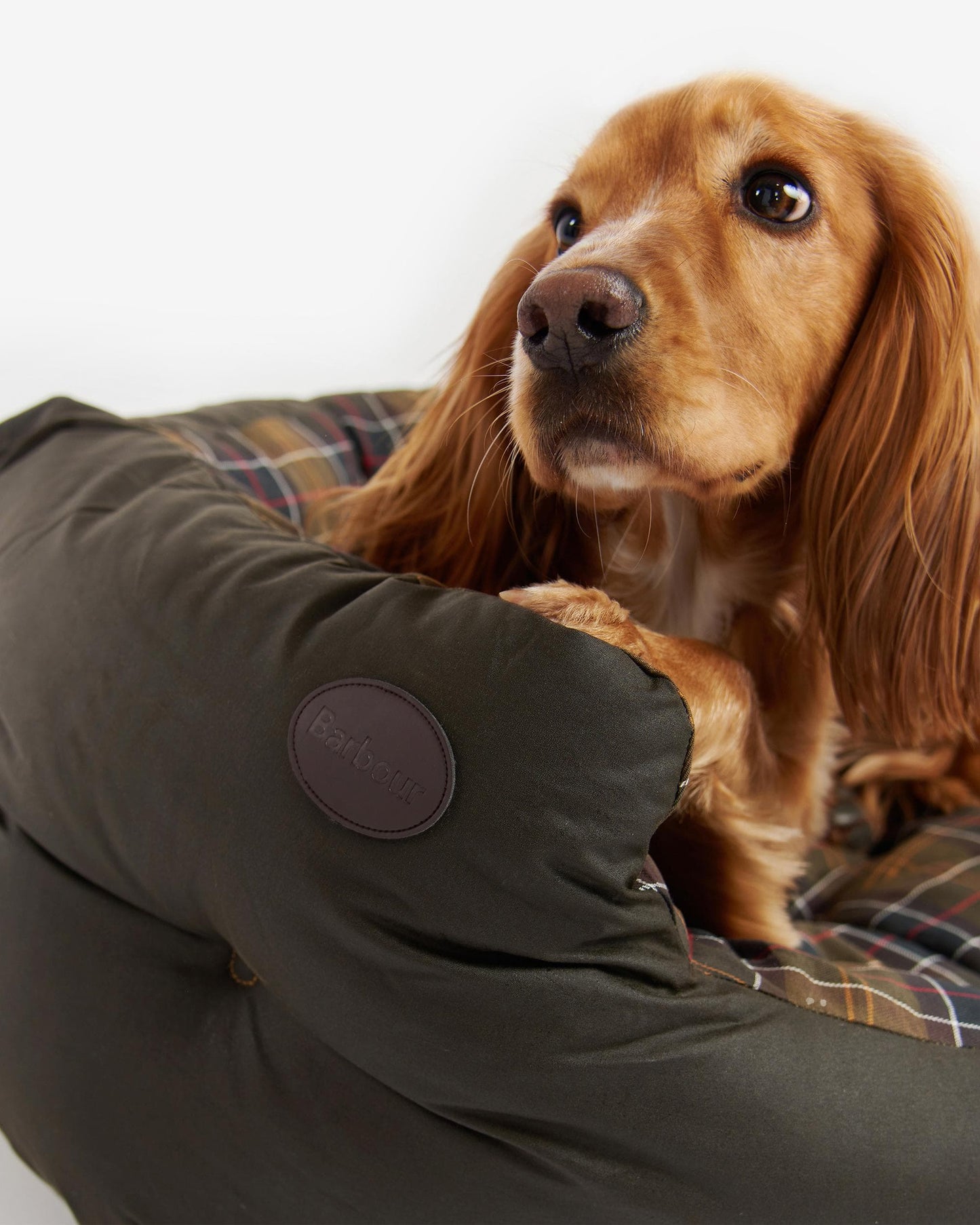 Barbour Wax/Cotton Dog Bed 35 Inches