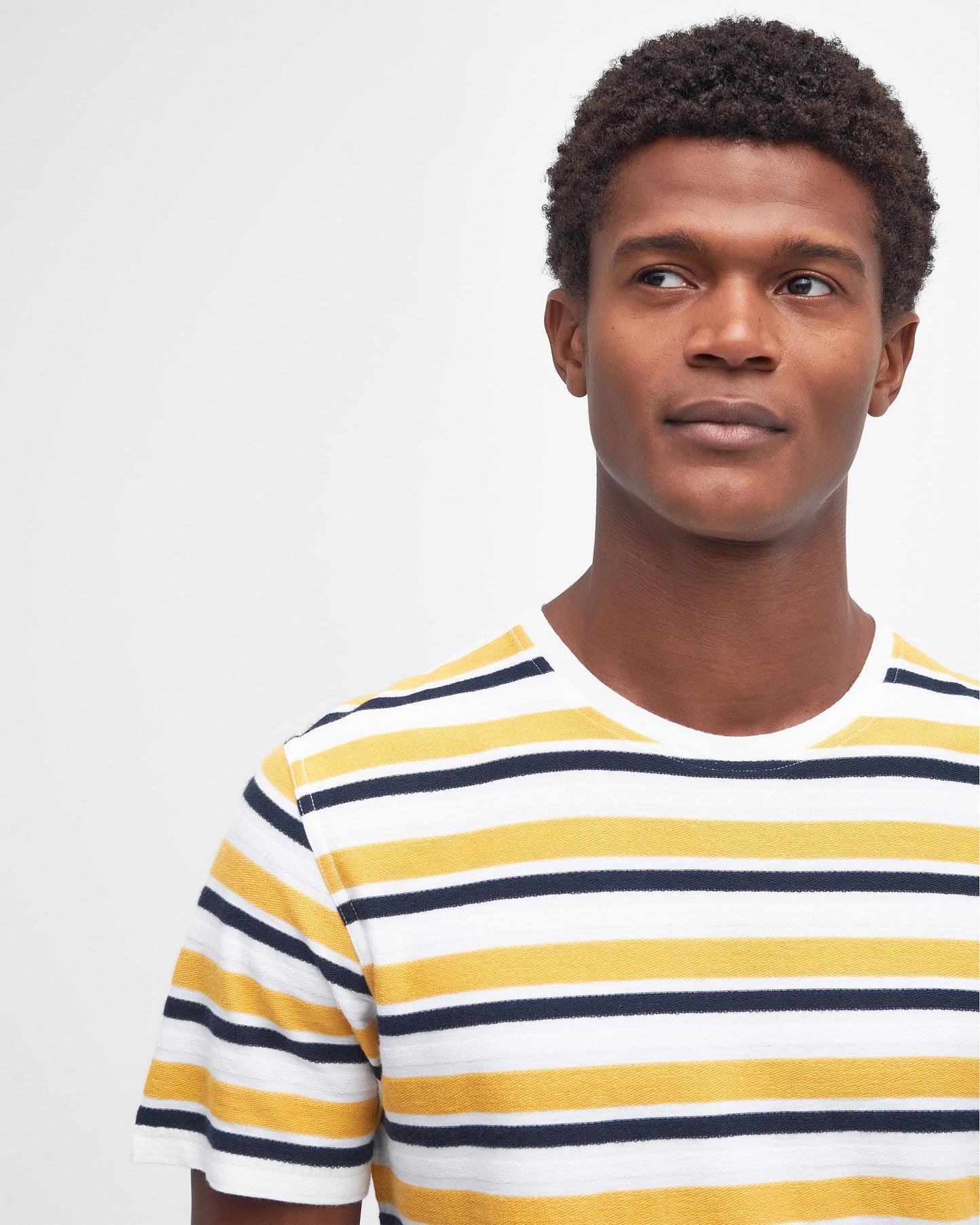Barbour Barbour Whitwell Stripe Mens Tailored T-Shirt