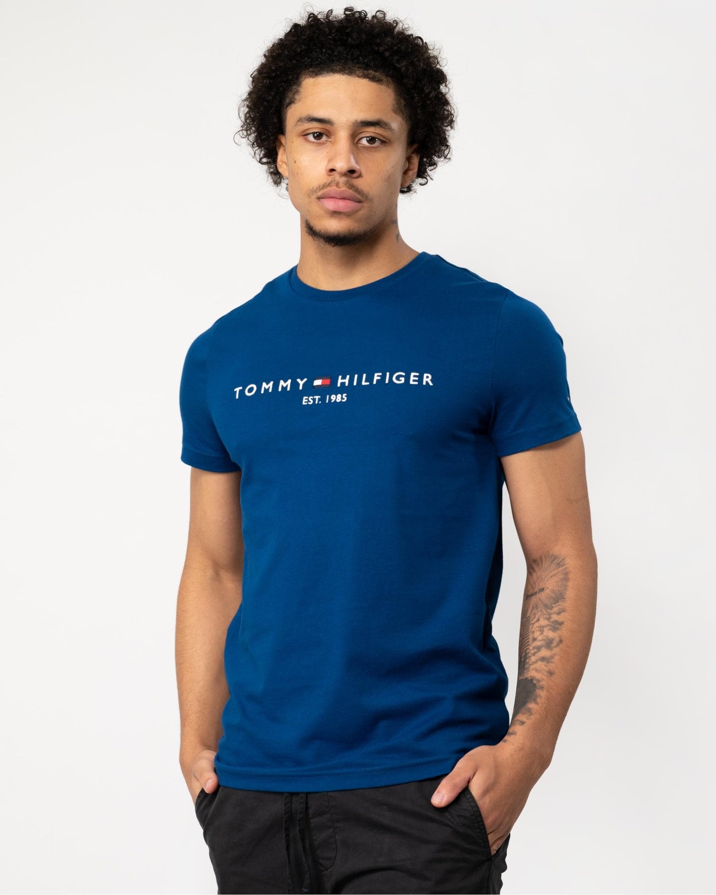 Tommy Hilfiger Tommy Logo Basic Mens T-Shirt