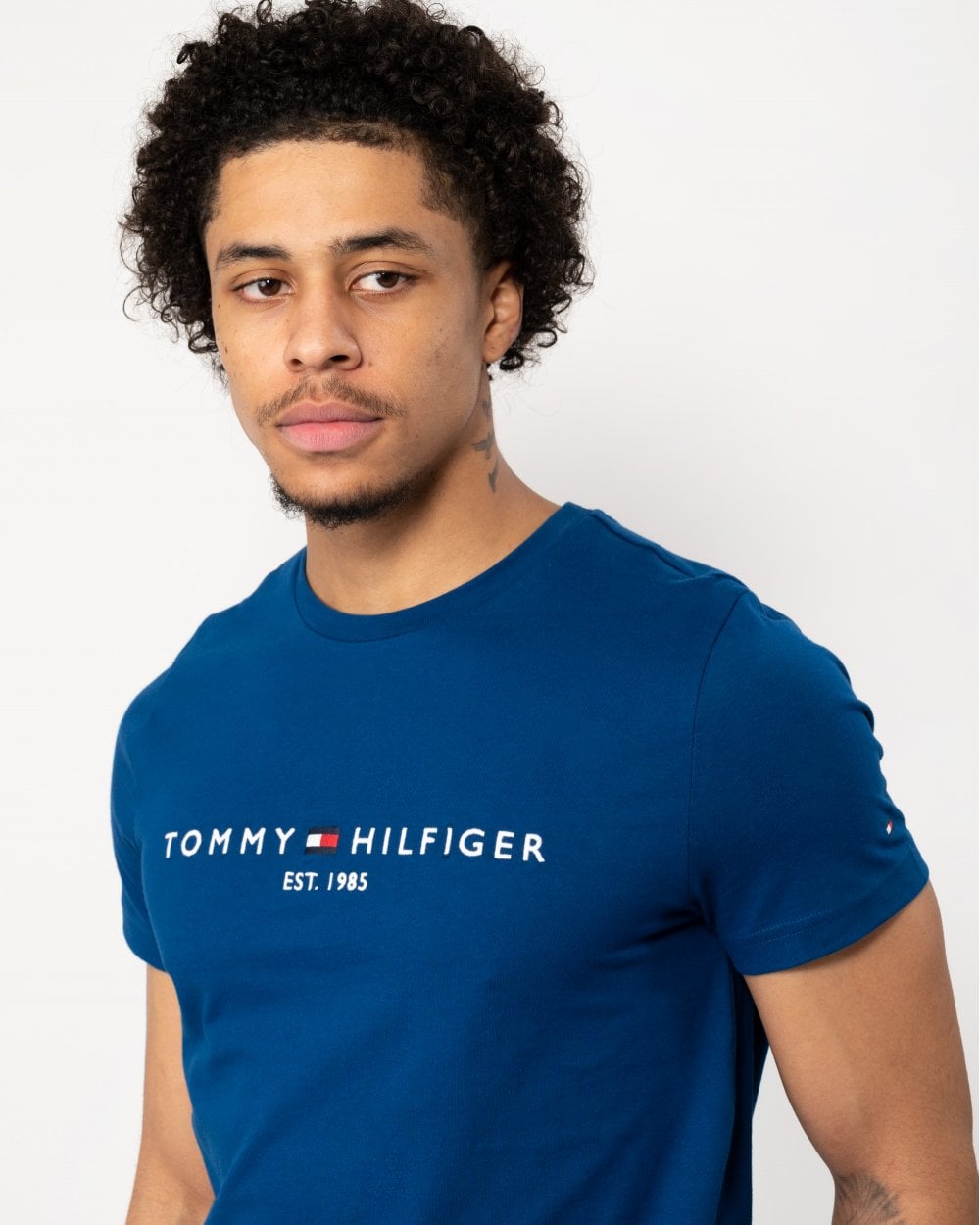 Tommy Hilfiger Tommy Logo Basic Mens T-Shirt - Anchor Blue