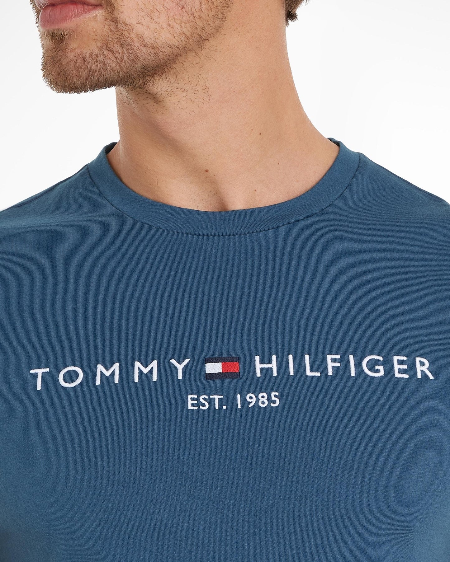 Tommy Hilfiger Tommy Logo Basic Mens T-Shirt - Aegean Sea