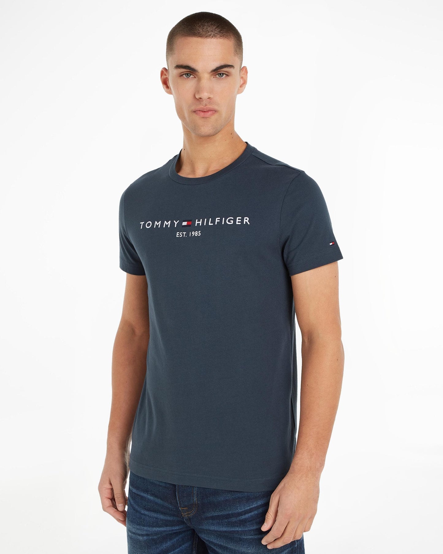 Tommy Hilfiger Tommy Logo Basic Mens T-Shirt