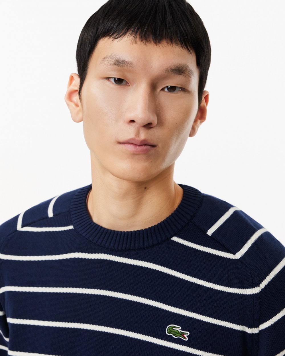Lacoste Lacoste Mens Cotton Crew Neck Striped Jumper