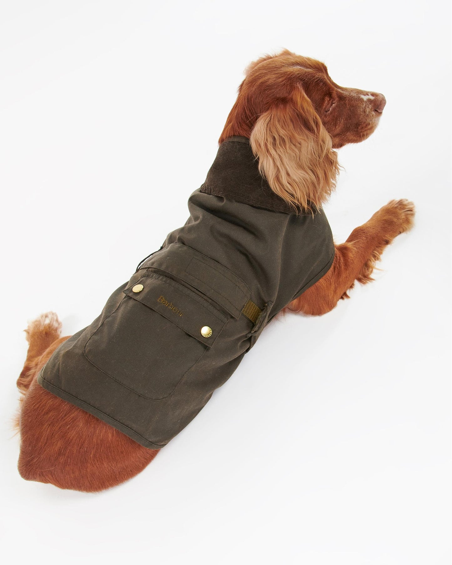 Barbour 2 in 1 Wax Dog Coat