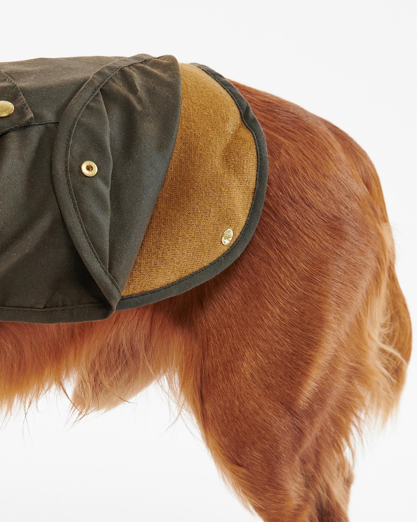 Barbour 2 in 1 Wax Dog Coat