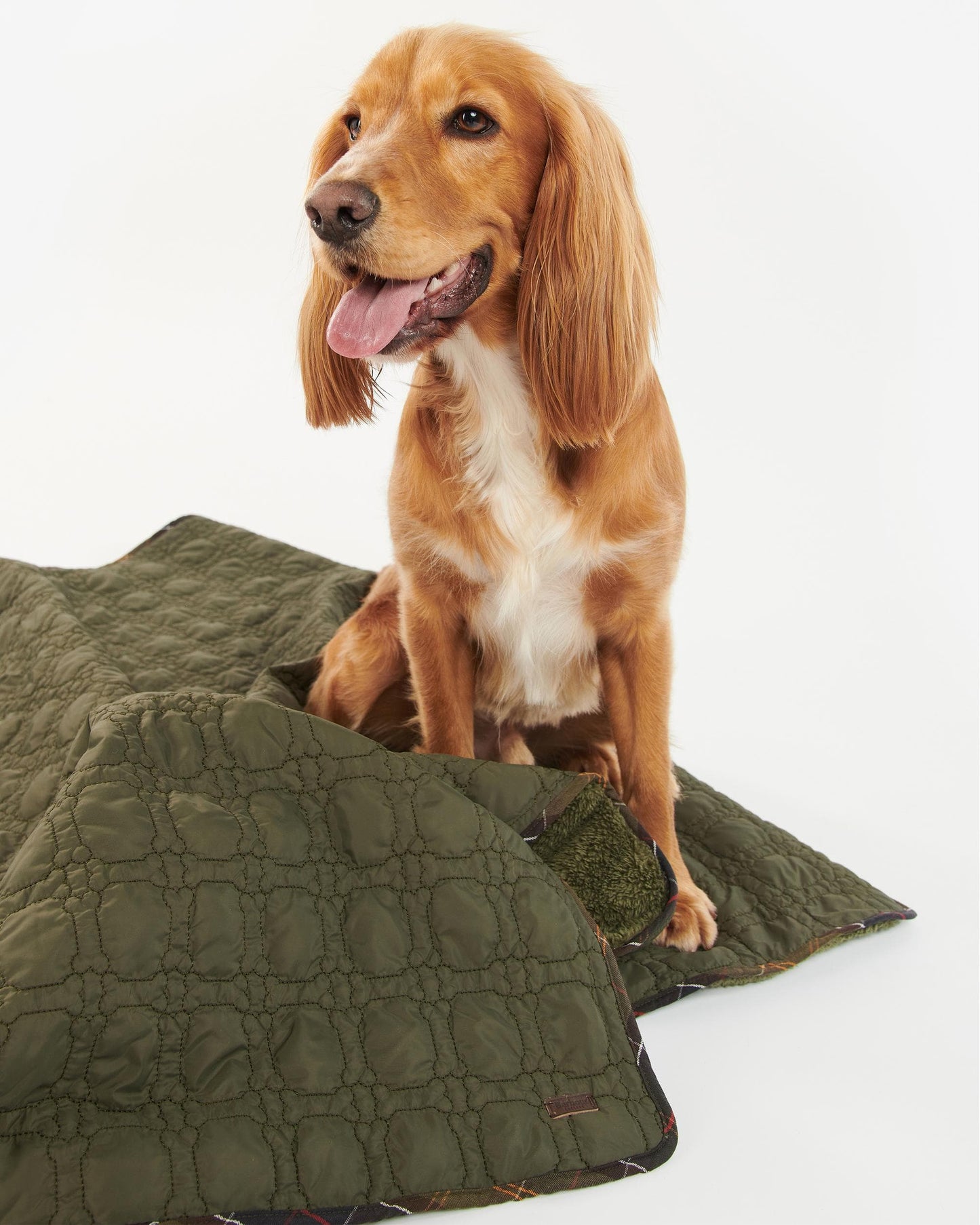 Barbour Dog Bone Quilted Blanket