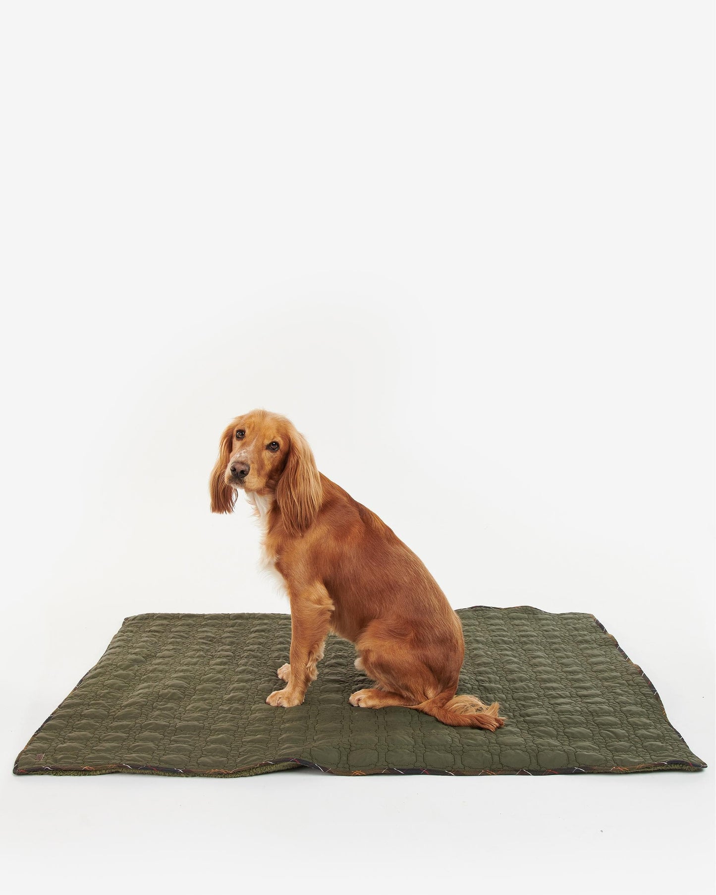 Barbour Dog Bone Quilted Blanket