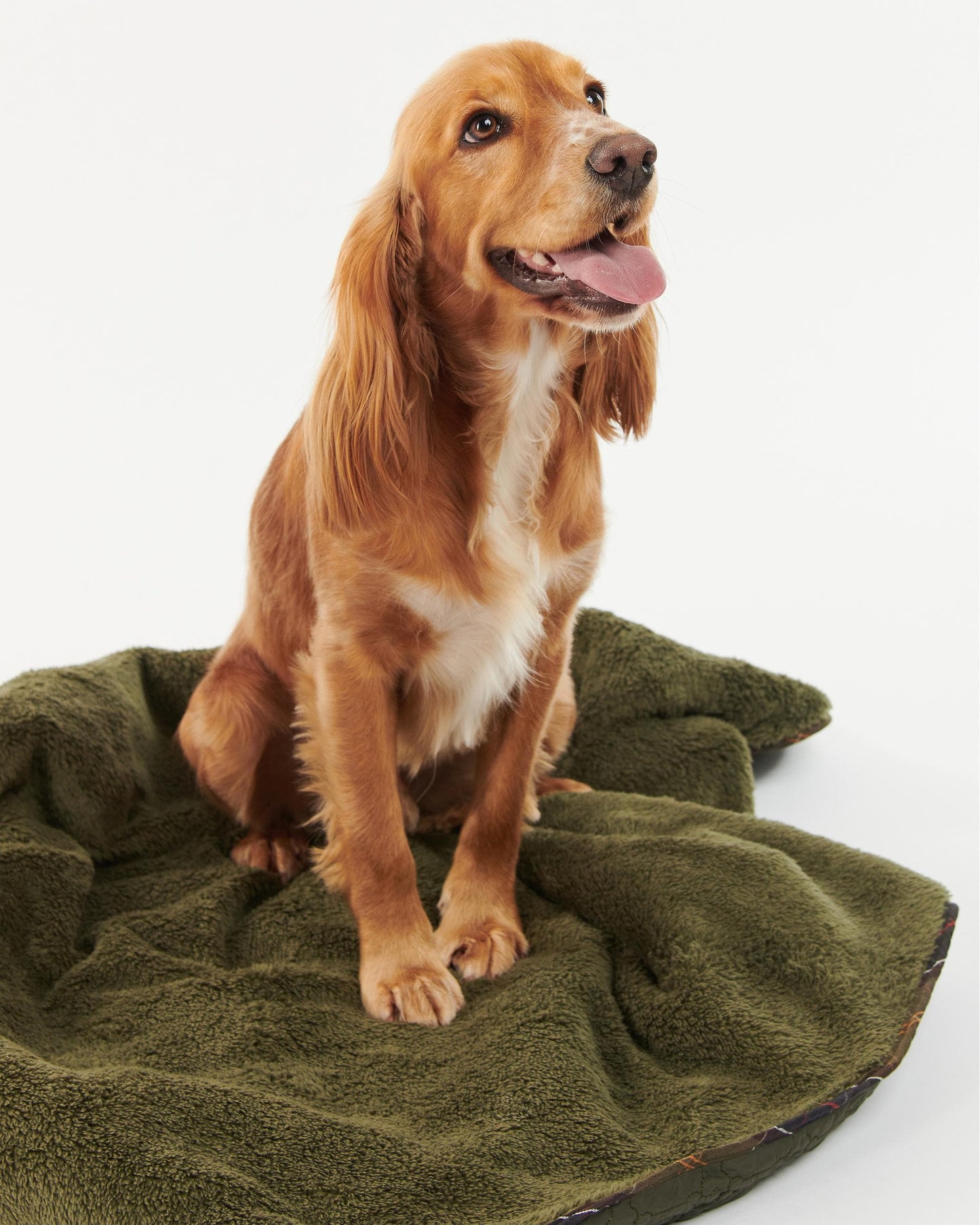 Barbour Dog Bone Quilted Blanket