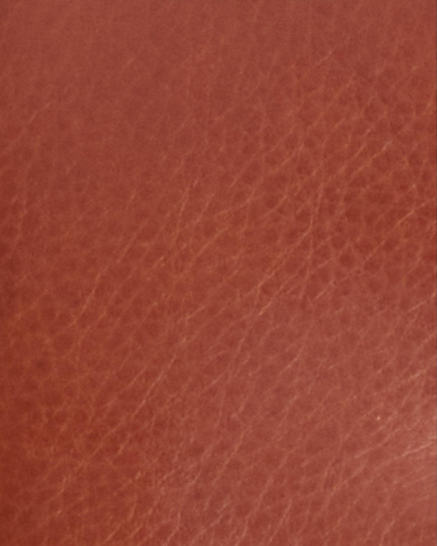 Barbour Laire Womens Leather French Purse