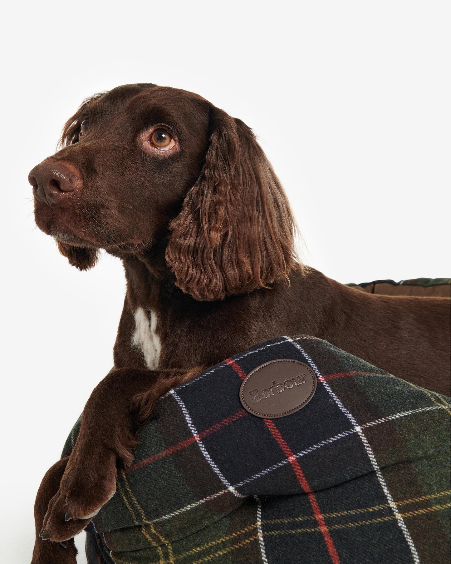 Barbour Luxury Dog Bed 30 Inches