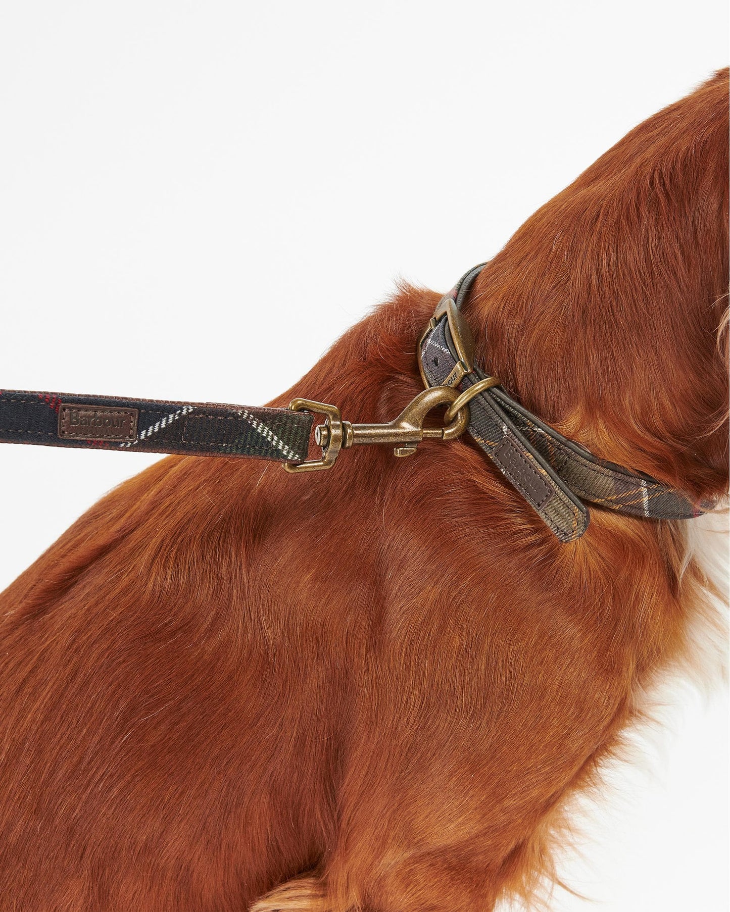Barbour Tartan Dog Lead