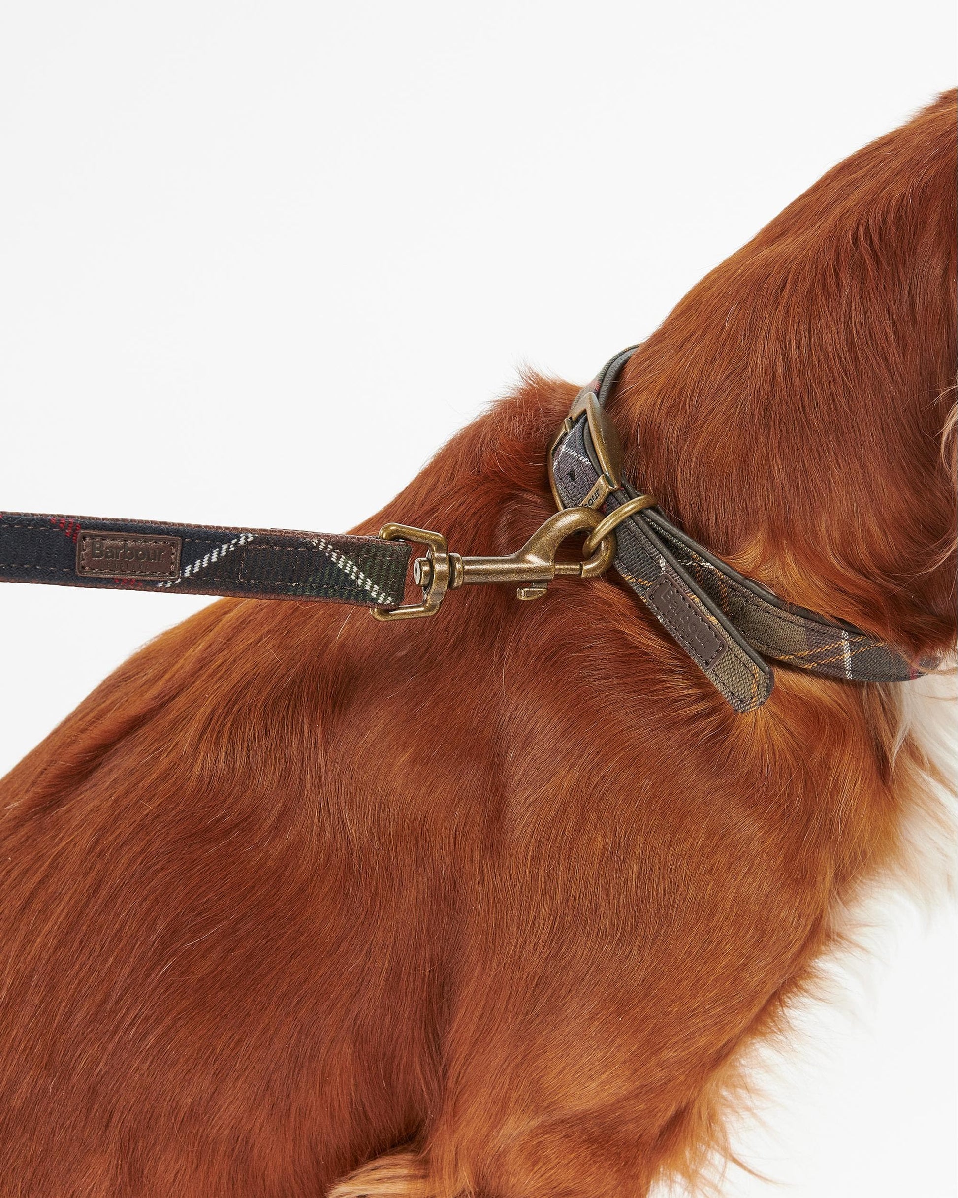 Barbour Tartan Dog Lead