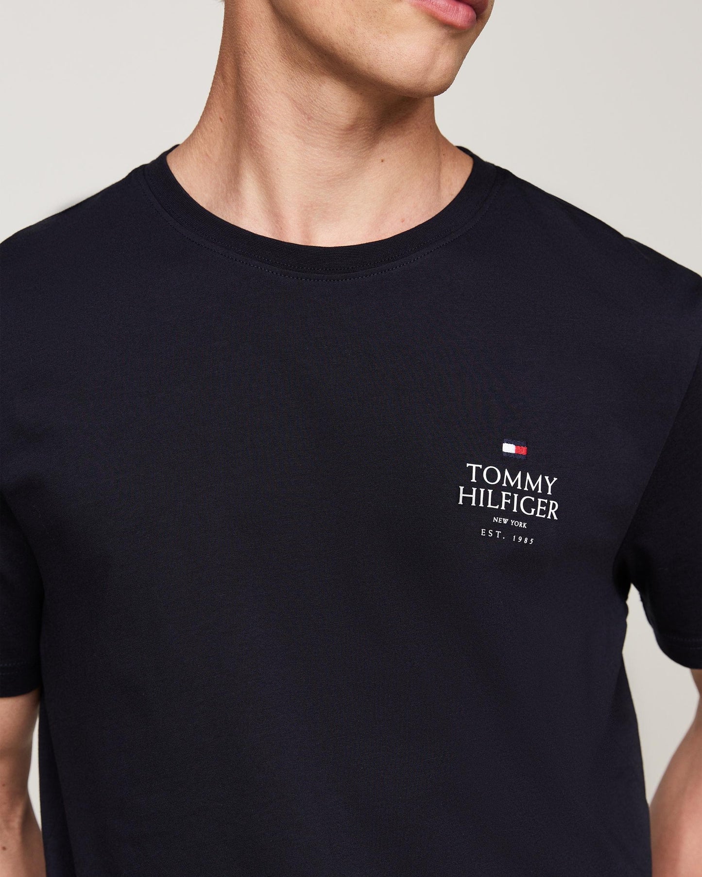 Tommy Hilfiger Tommy Hilfiger Hilfiger Stack Mens T-Shirt