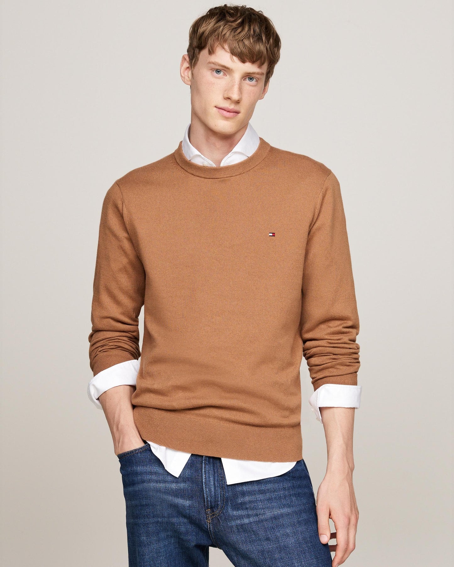 Tommy Hilfiger Organic Cotton Cashmere Mens Crew Sweater
