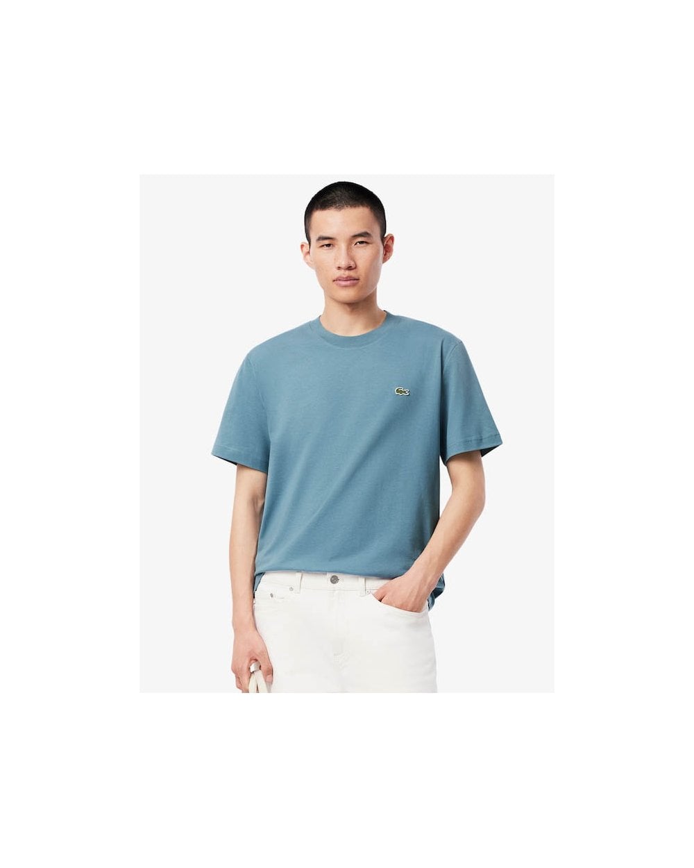 Lacoste Mens Classic Fit Cotton Jersey T-Shirt