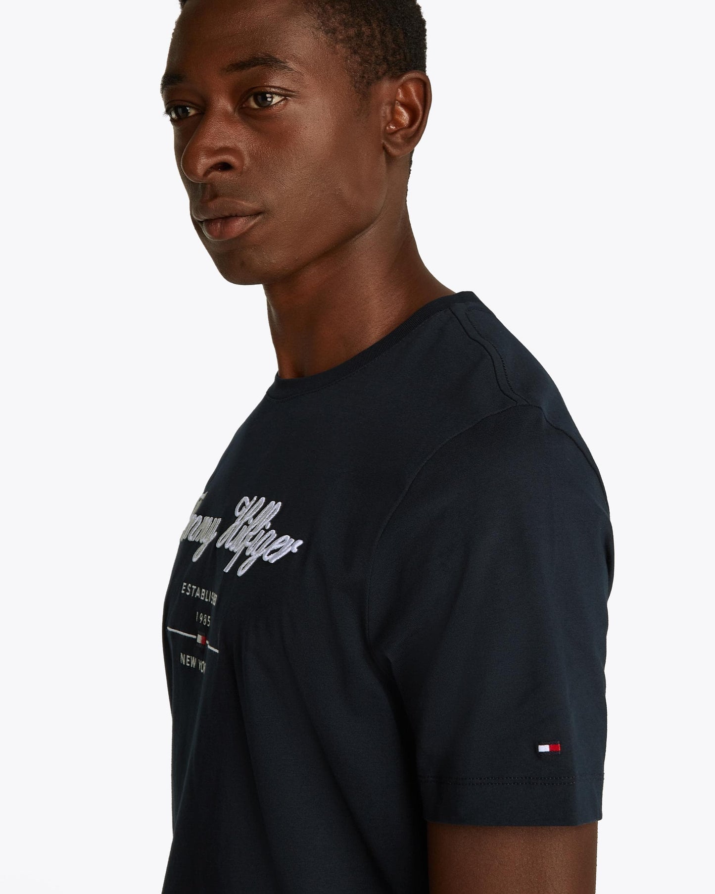 Tommy Hilfiger Tommy Hilfiger Mens Script Logo Tee