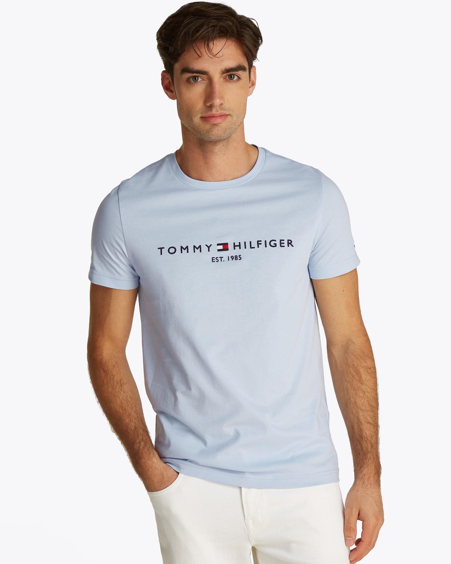 Tommy Hilfiger Tommy Logo Basic Mens T-Shirt - Breezy Blue
