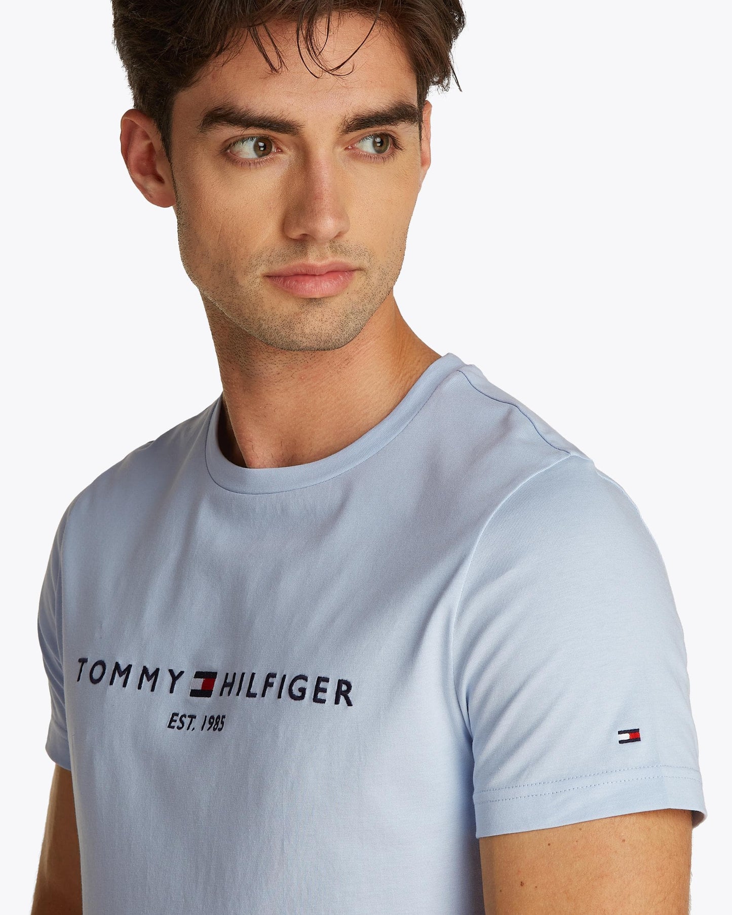 Tommy Hilfiger Tommy Logo Basic Mens T-Shirt - Breezy Blue