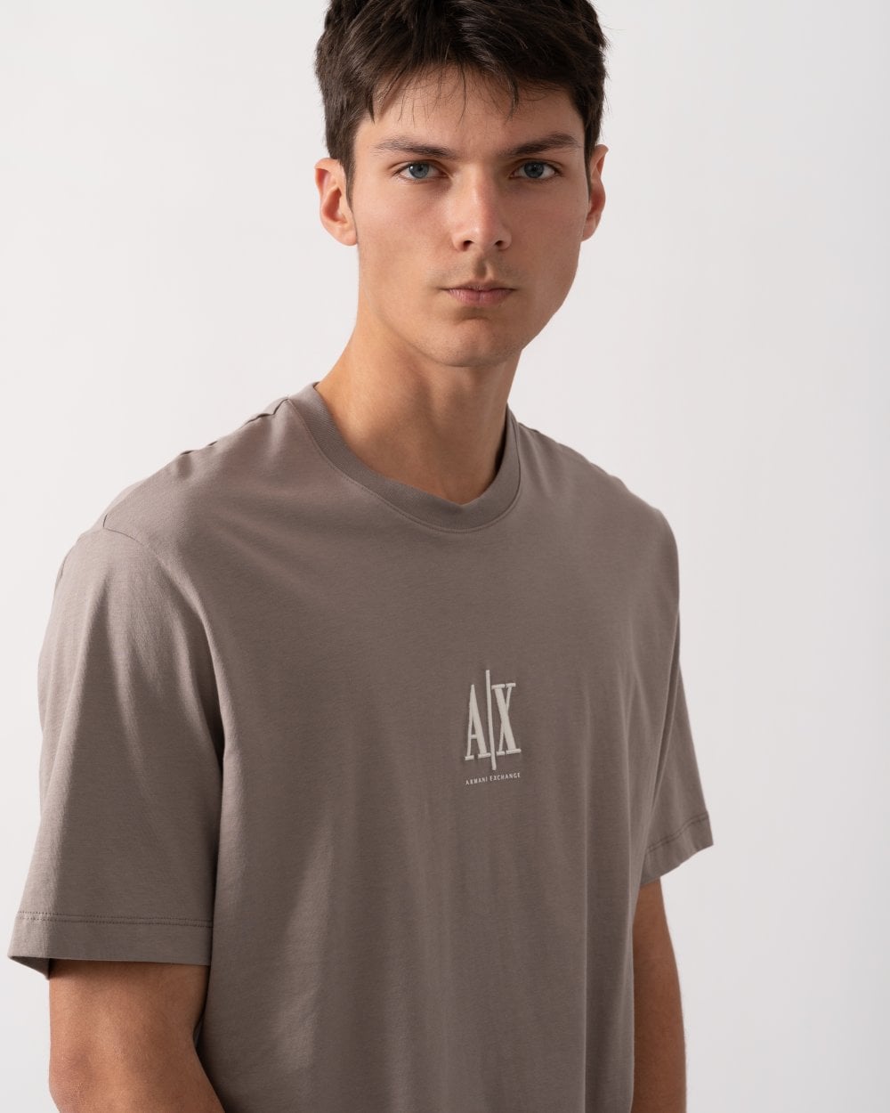 Armani Exchange Mens Embroidered A|X Centre Logo T-Shirt - Driftwood U6107