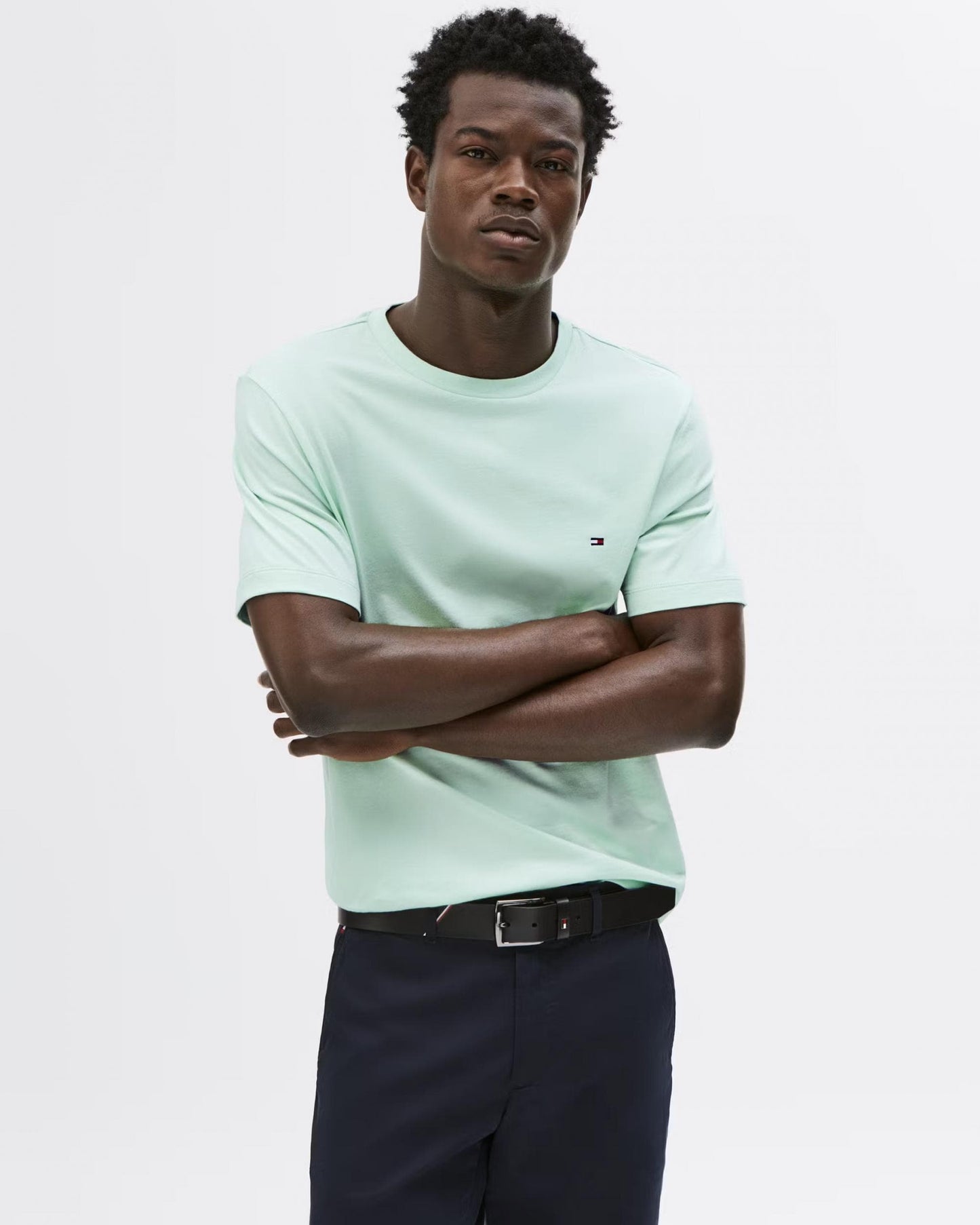 Tommy Hilfiger Essential Seasonal Regular Fit Solid Mens T-Shirt - Opal Green