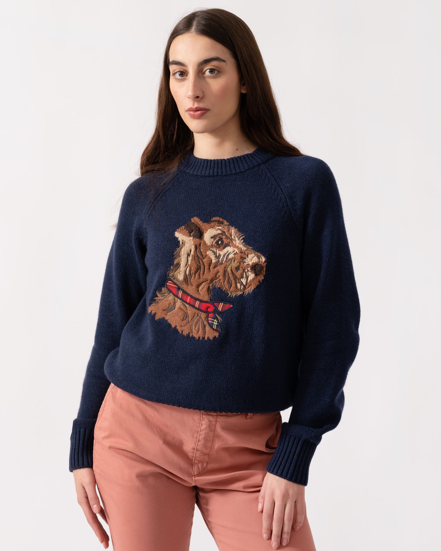 Joules Monty Dog Womens Jumper - Navy