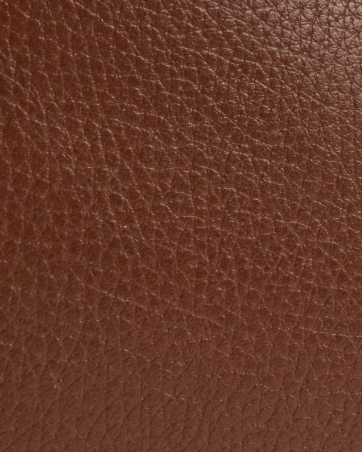 Barbour Alder Womens Leather Sling Bag - Brown