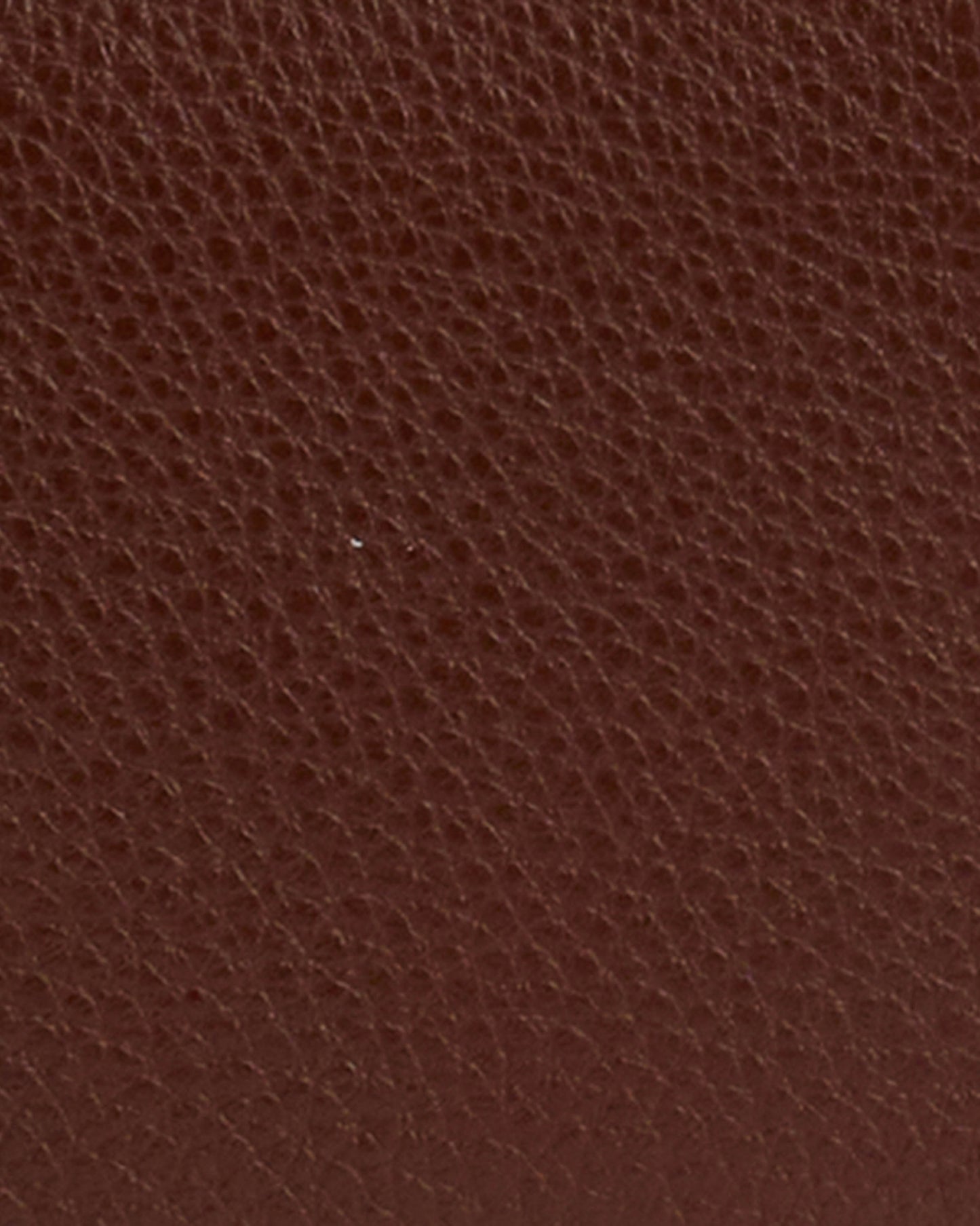 Barbour Birch Womens Leather Matinee Purse - Brown