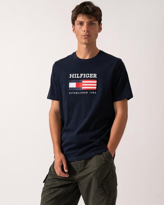 Tommy Hilfiger Americana Monotype Flag Box Mens T Shirt - Desert Sky