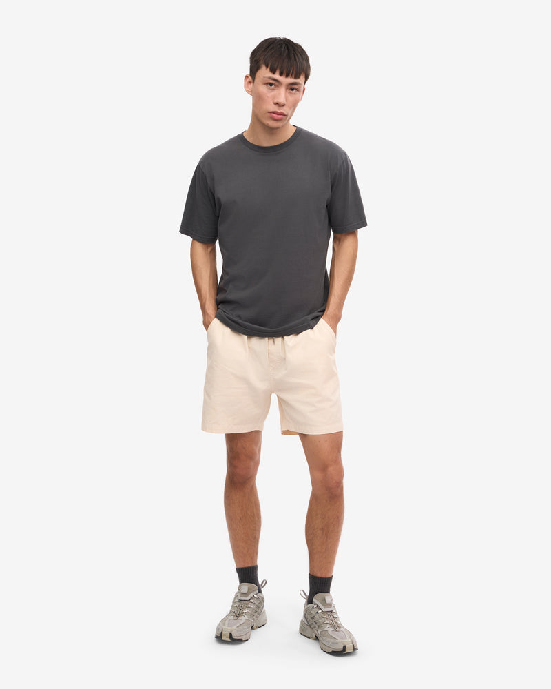 Colorful Standard Classic Organic T-Shirt - Lava Grey