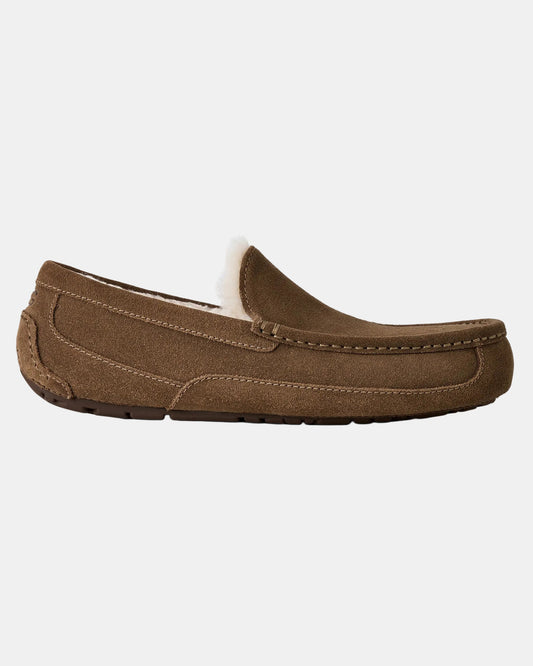 UGG Ascot Mens Slipper - Light Bronze | CHO | Designer Mens Slippers