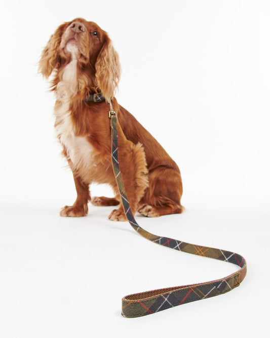 Barbour Tartan/Webbing Dog Lead