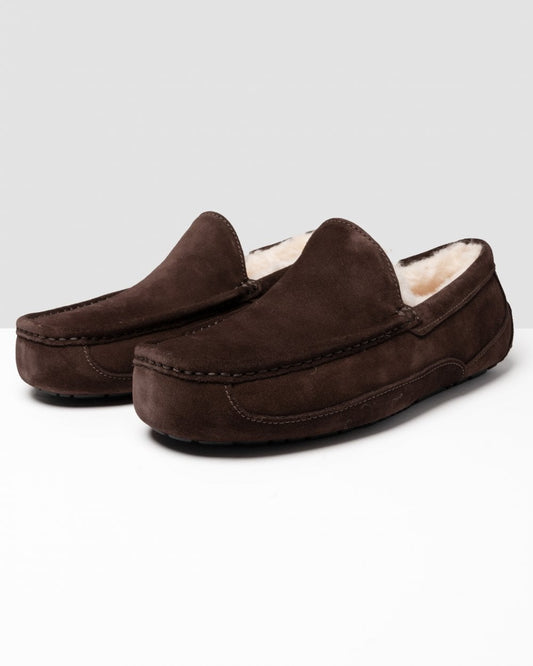 UGG Ascot Mens Slipper - Espresso