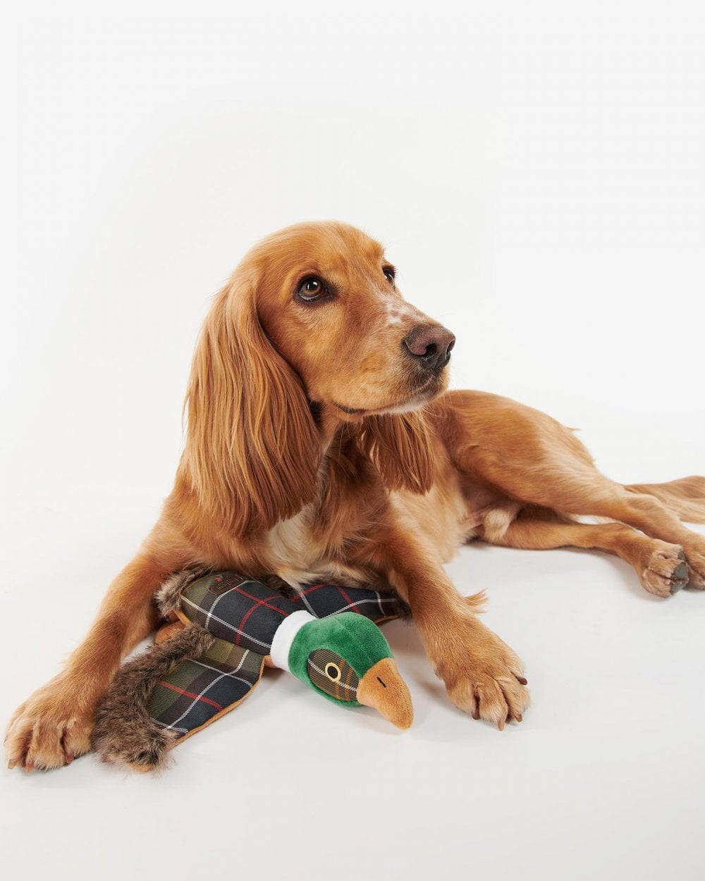 Barbour Pheasant Dog Toy