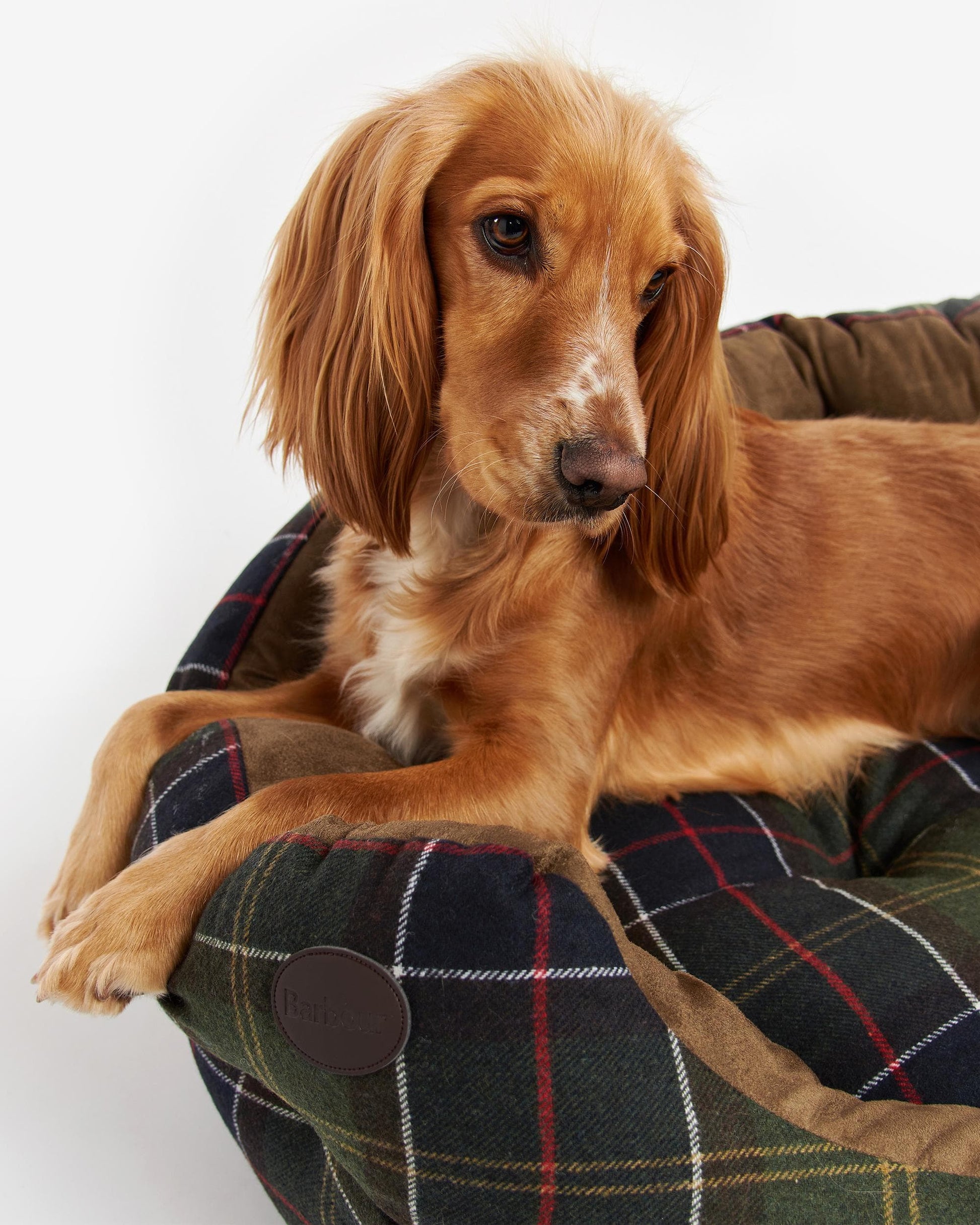 Barbour Luxury Dog Bed 35 Inches