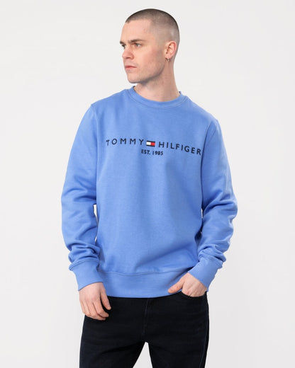 Tommy Hilfiger Tommy Logo Mens Sweatshirt - Blue Spell
