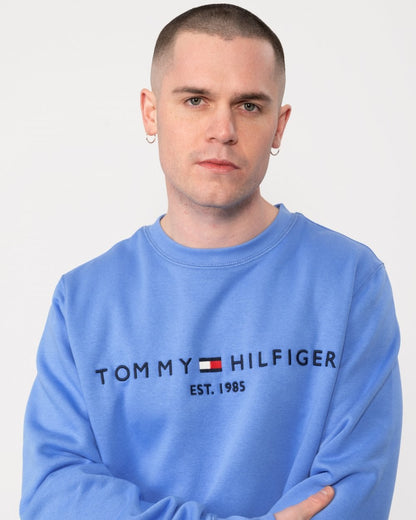 Tommy Hilfiger Tommy Logo Mens Sweatshirt - Blue Spell