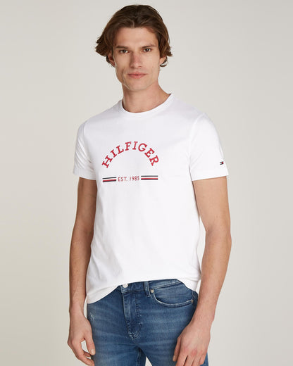 Tommy Hilfiger RWB Arch GS Mens T-Shirt