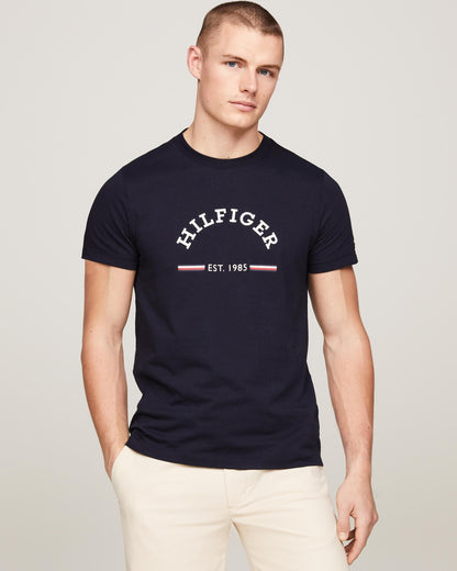 Tommy Hilfiger RWB Arch GS Mens T-Shirt