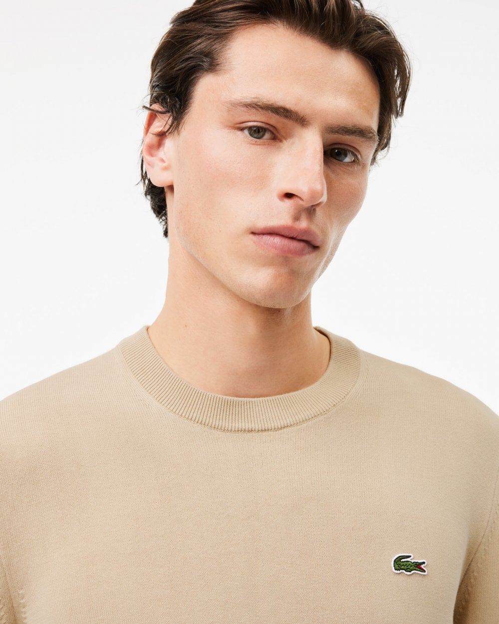 Lacoste Mens Organic Cotton Crew Neck Sweater - Viennese 02S