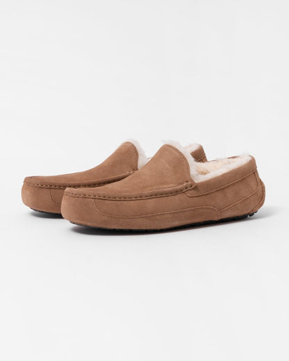 UGG Ascot Mens Slipper - Chestnut